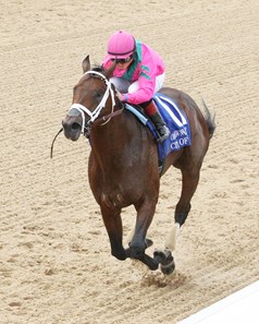 City of Light wins the 2018 Oaklawn Handicap