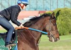 Tenfold at Oaklawn Park