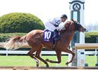 Hargus becomes the first winner for freshman sire Capo Bastone April 11 at Keeneland