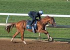 Good Magic works four furlongs April 21 at Keeneland