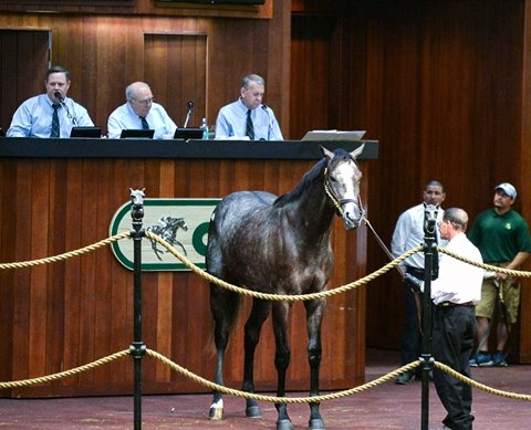 A Tapit colt consigned as Hip 352 tops the April 25 session of the Ocala Breeders' Sales April 2-year-olds in training sale