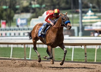 Hoppertunity wins the 2018 Tokyo City Cup (G3)