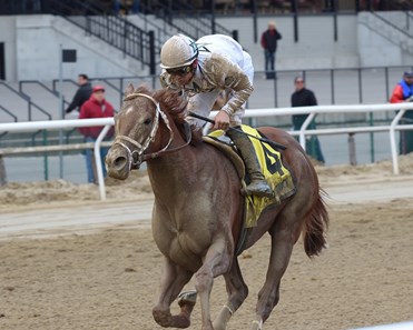 National Flag wins the 2018 Bay Shore
