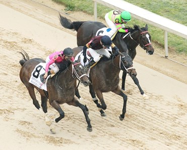 Sassy Sienna wins the 2018 Fantasy Stakes