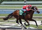 Cajun Firecracker pulls away in the stretch to score on debut at Gulfstream Park