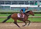 Blamed, winner of five consecutive races, works at Churchill Downs April 25