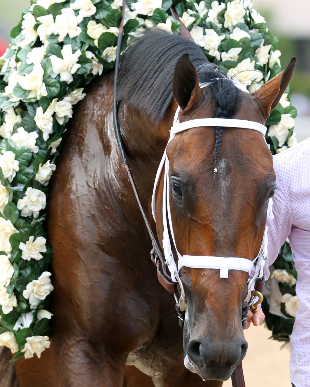 Magnum Moon Books Spot in Kentucky Derby with Arkansas Derby 2018 Win