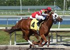 Bye Bye J gets up just in time to win by three-quarters of a length at Gulfstream Park