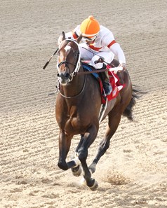 Mitole wins the 2018 Bachelor Stakes