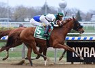 Blue Prize gets up in the final strides to win the Top Flight by a neck at Aqueduct
