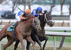 Vino Rosso moves to the lead in the stretch of the Wood Memorial at Aqueduct Racetrack