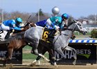 My Miss Lilly gets a half-length score in the Gazelle at Aqueduct Racetrack