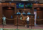 Hip 1164, a Kantharos colt out of Valid Concorde, brings $800,000