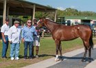 Hip 1197, a filly by Medaglia d'Oro