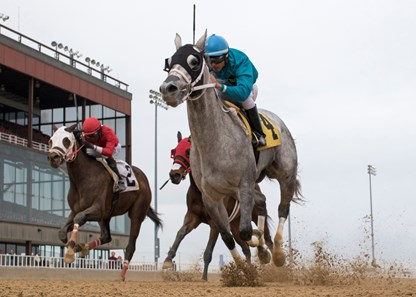 Jean Elizabeth winning the Pretty Jenny Stakes at Hawthorne Racecourse on 4/21/18. Julio Felix up.