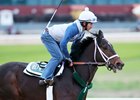 Calumet Farm's Bravazo will go into the Kentucky Derby off a six-week break