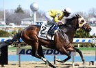 Control Group wins the Mr. Sinatra Stakes at Aqueduct Racetrack