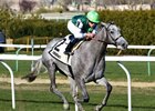 Significant Form runs away to a 6 1/4-length victory in the Memories of Silver at Aqueduct