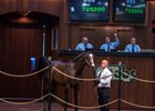 Hip 888, a son of War Front, tops day 3 of the OBS April sale at $725,000