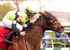 Goodonehoney wins the Weber City Miss Stakes at Laurel Park