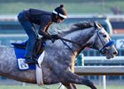 Unique Bella works at Santa Anita Park