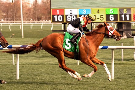 Caribou Club wins the 2018 Henry S. Clark Stakes