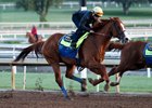 Justify works six furlongs in 1:13 flat April 21 at Santa Anita Park