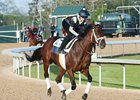 City of Light gallops at Oaklawn Park