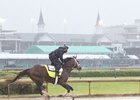 Magnum Moon gallops April 24 at Churchill Downs