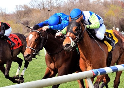 Hallie Belle (#5, outside) wins the 2018 Dahlia Stakes
