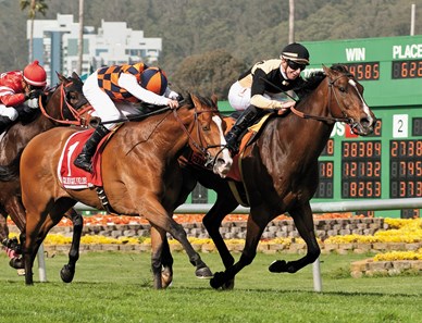 Flamboyant with jockey Julien Couton win the San Francisco Mile (Grade III) $200,000 Guaranteed with a time 1:36.15. Trained by Patrick Gallagher.
