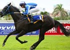 Adorable Analia wins under Warren Kennedy April 8 at Greyville