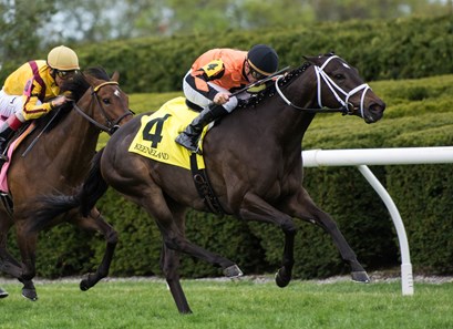 Triple Chelsea with Adam Beschizza up wins the Giant's Causeway Stakes at Keeneland in Lexington, Kentucky on April 14th, 2018.
