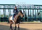 Cosmic Burst trains April 10 at Oaklawn Park