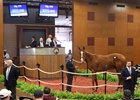 A Justin Phillip colt consigned as Hip 370 sells for $275,000 at the Fasig-Tipton Midlantic sale