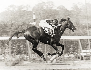 War Admiral wins the 1937 Belmont Stakes