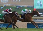 Niigon's Eclipse gets a half-length score in the Nassau Stakes at Woodbine