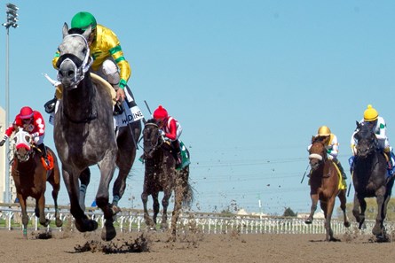 Toronto Ontario,May 13, 2018.Woodbine Racetrack.Marine Stakes.O'Kratos under Jockey Eurico Da Silva,capture the Grade III, $125,000 dollar Marine Stakes at Woodbine for owners Terdik Farmss Ltd, and Partners and trainer Darwin Banach. michael burns photo