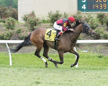 Missap wins the 2018 Green Carpet Stakes