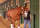Justify