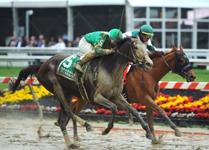 (May 18, 2018) Song of Spring (5) Ricardo Santana Jr up, wins the Gr3 Allaire DuPont Distaff Stakes...
Blue Prize (inside) was second