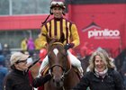 Irish War Cry and Jose Ortiz are led to the winner's circle by Ellie Glaccum (right) and Michelle Hurley at Pimlico Race Course