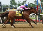 Holiday Disguise wins the Critical Eye Stakes at Belmont Park in a photo finish.
