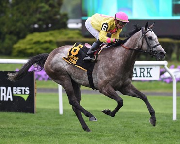 A Raving Beauty wins the 2018 Beaugay
