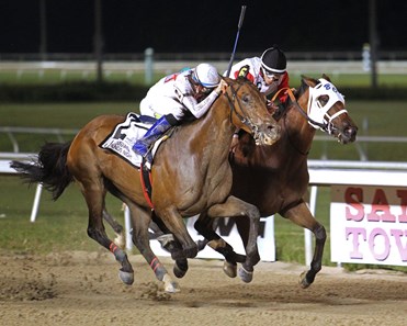 Social Misfit wins the 2018 Louisiana Legends Classic Stakes at Evangeline Downs.
