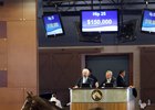 A New York-bred daughter of Alpha consigned by Kenneth Lejeune Training Stables as Hip 25