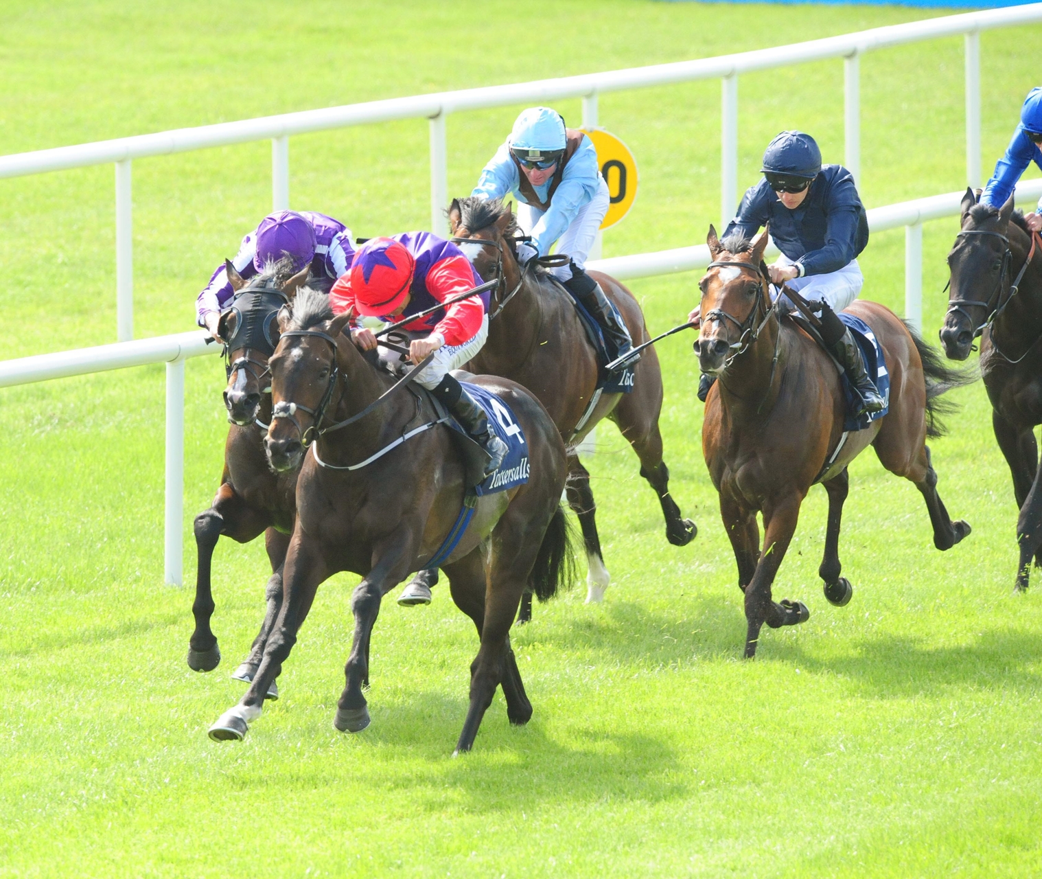 O'Brien bidding for Guineas win number 12