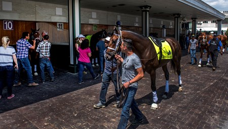 All of trainer Todd Pletcher's Derby entrants school in the paddock at Churchill Downs Wednesday May 2, 2018