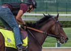 Blended Citizen is among the field of seven entered for the Peter Pan Stakes