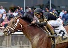 Patch wins a May 12 allowance race at Belmont Park